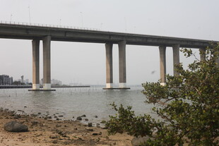 湛江跨海大桥近景