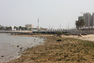 湛江岸边景象 水域与建筑景观