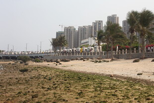 湛江海滨城市沙滩与高楼景观