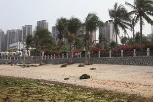 湛江海滨城市景观 沙滩与高楼