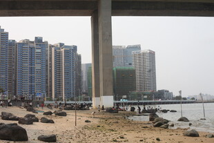 湛江桥下城市海滨风光