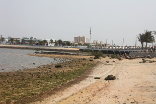 湛江海滨风光 岸边沙石与绿植