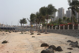 湛江海滨沙滩与远处林立高楼