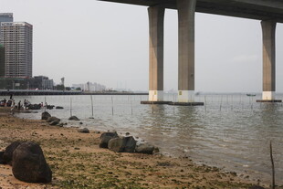 湛江江边桥下的悠闲垂钓场景