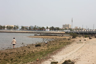 湛江海滨沙滩上的悠闲场景