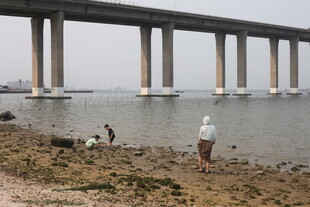 湛江大桥下的江畔休闲场景