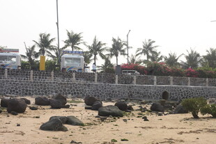 湛江海边沙滩与绿植景观