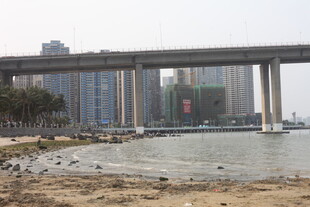 湛江江边高架桥与城市景观
