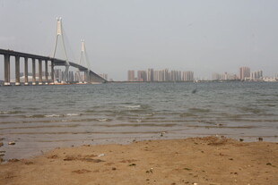 湛江海滨大桥下的宁静沙滩