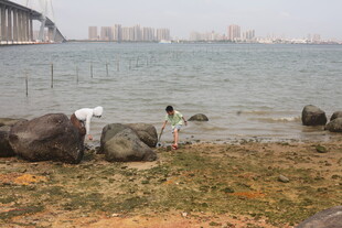 湛江海边孩童嬉戏于礁石旁