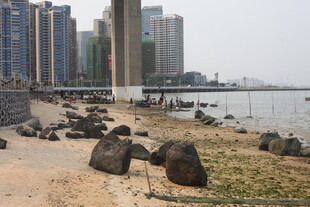 湛江城市岸边海景与礁石景观