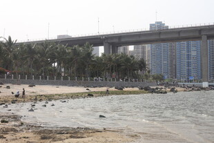 湛江城市河畔桥梁风景