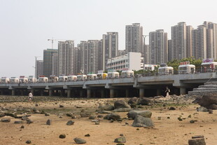 湛江城市旁的桥梁与荒芜地带