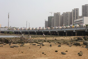 湛江城市边的河岸与沙石景观