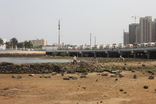 湛江海边滩涂景象