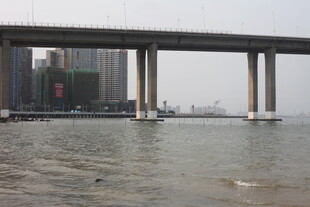 湛江河畔桥梁下的宁静水域