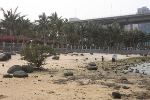 湛江沙滩景观 绿植与建筑相映
