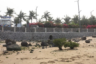 湛江沙滩上的石景与绿植