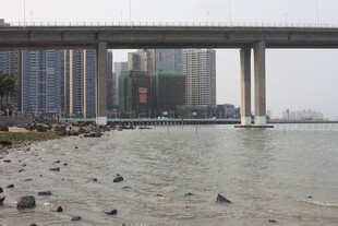 湛江城市河畔桥梁风景