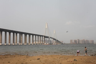 湛江海边大桥下的悠闲场景