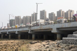 湛江城市高架桥旁的建筑景观