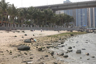 湛江海滨沙滩旁的现代建筑景观