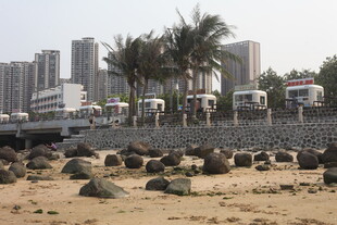 湛江海滨城市沙滩与林立高楼