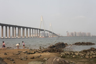 湛江海滨大桥下的休闲场景