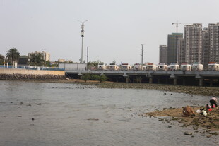 湛江河边景象 有人在岸边活动