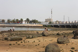 湛江海边滩涂景象