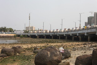 湛江河边石桥下的自然景致