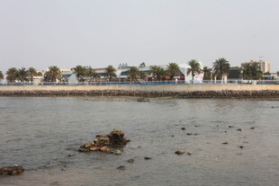 湛江海边礁石与岸边树木景象