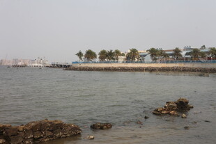 湛江海滨风光 岸边绿树与礁石