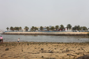 湛江海滨沙滩风光 远处绿树成排