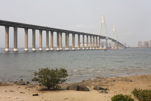 湛江跨海大桥景观