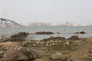 湛江海边礁石与远处桥梁风景