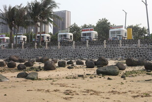 湛江沙滩上的石头与远处车辆