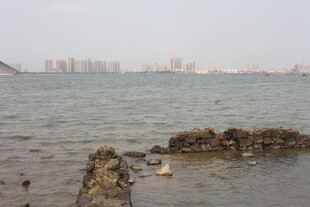 湛江海边礁石与远处城市景观