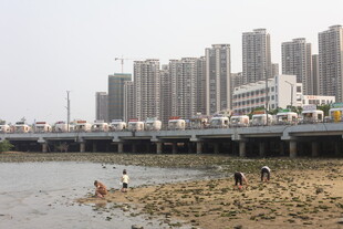 湛江城市河畔景象