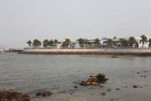 湛江海滨风光 岸边椰树映海水