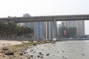 湛江江边高架桥与城市景观