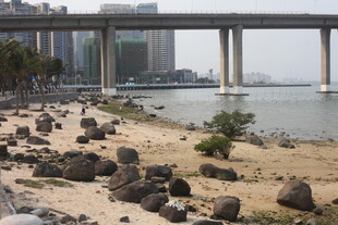 湛江海滨桥梁下的石滩景观