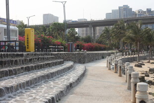 湛江城市景观中的石砌步道