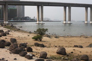 湛江海边桥梁下的沙石景观