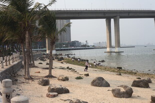 湛江海滨石桥旁的石岸景致