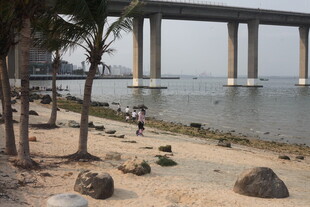 湛江海滨大桥下的静谧沙滩