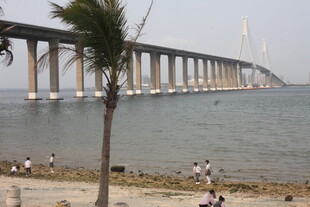 湛江海滨大桥下的休闲场景
