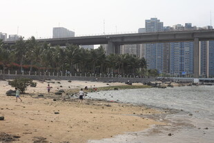 湛江城市边的河岸沙滩风景