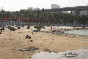 湛江沙滩上的休闲人群与景象