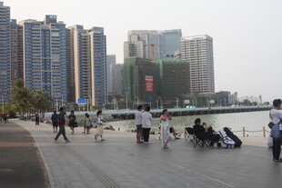 湛江海滨城市休闲漫步场景